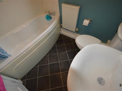 Picture 12